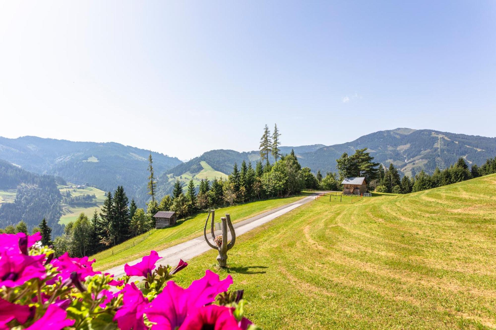 Landhaus Hochkoenig Mühlbach am Hochkönig Eksteriør billede